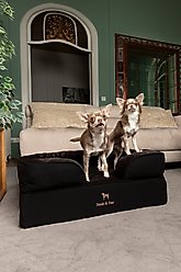 Noah & Paw Machine Washable Orthopedic Sofa Dog Bed, Black, 28 x 23 x 11-in slide 2 of 8