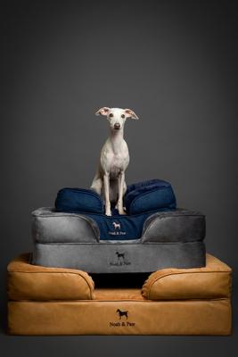 Show full view: Noah & Paw Machine Washable Orthopedic Sofa Dog Bed, Dark Blue, 20 x 15 x 8-in slide 8 of 9