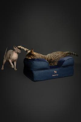 Show full view: Noah & Paw Machine Washable Orthopedic Sofa Dog Bed, Dark Blue, 20 x 15 x 8-in slide 2 of 9