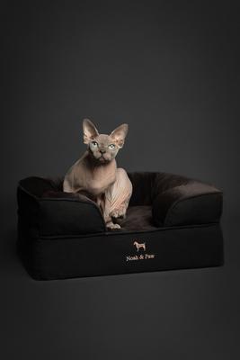 Show full view: Noah & Paw Machine Washable Orthopedic Sofa Dog Bed, Black, 20 x 15 x 8-in slide 3 of 9