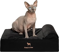 Noah & Paw Machine Washable Orthopedic Sofa Dog Bed, Black, 20 x 15 x 6.5-in