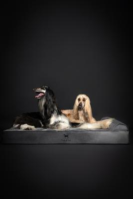 Show full view: Noah & Paw Machine Washable Orthopedic Sofa Dog Bed, Grey, 55 x 45 x 9.5-in slide 5 of 8