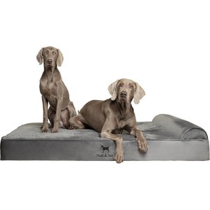 Noah & Paw Machine Washable Orthopedic Sofa Dog Bed, Grey, 55 x 45 x 9.5-in