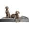 Show in main carousel: Noah & Paw Machine Washable Orthopedic Sofa Dog Bed, Grey, 55 x 45 x 9.5-in slide 1 of 8