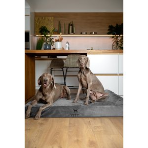 Noah & Paw Machine Washable Orthopedic Sofa Dog Bed, Grey, 55 x 45 x 9.5-in