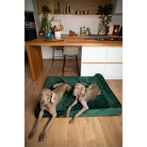 Noah & Paw Machine Washable Orthopedic Sofa Dog Bed, Dark Green, 55 x 45 x 9.5-in