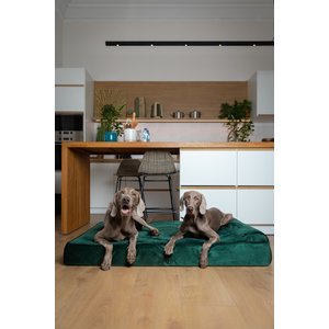 Noah & Paw Machine Washable Orthopedic Sofa Dog Bed, Dark Green, 55 x 45 x 9.5-in