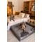 Show in main carousel: Noah & Paw Machine Washable Orthopedic Classic Dog Bed, Grey, XX-Large slide 7 of 8