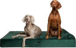 Noah & Paw Machine Washable Orthopedic Sofa Dog Bed, Dark Green, 55 x 45 x 9.5-in