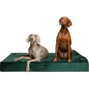 Noah & Paw Machine Washable Orthopedic Sofa Dog Bed, Dark Green, 55 x 45 x 9.5-in