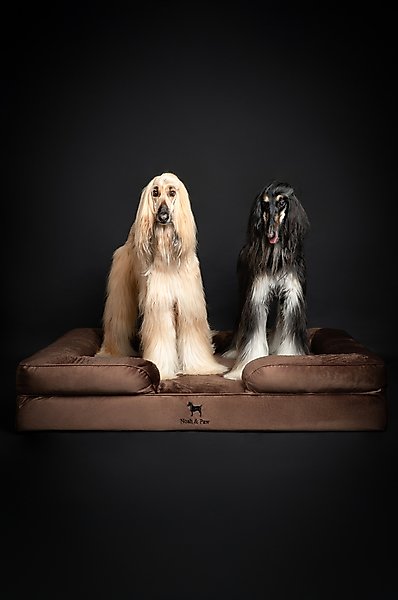 Noah & Paw Velvet Collection Orthopedic Dog Bed