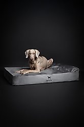 Noah & Paw Machine Washable Orthopedic Sofa Dog Bed, Grey, 45 x 35 x 9.1-in slide 2 of 8