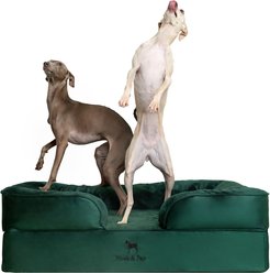 Noah & Paw Machine Washable Orthopedic Classic Dog Bed, Dark Green, Large