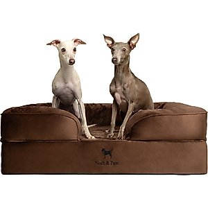 Noah & Paw Velvet Collection Orthopedic Dog Bed, Brown, 35 x 25 x 11-in