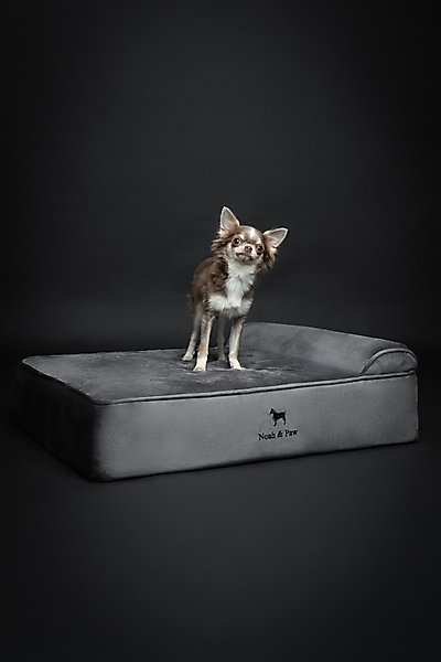 Noah & Paw Velvet Collection Orthopedic Dog Bed