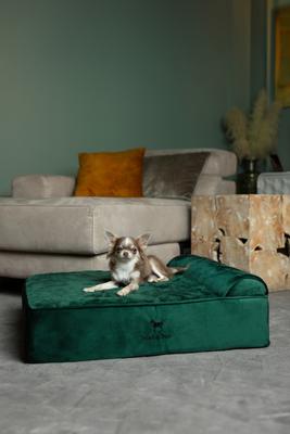 Show full view: Noah & Paw Machine Washable Orthopedic Sofa Dog Bed, Dark Green, 28 x 23 x 7.5-in slide 4 of 10