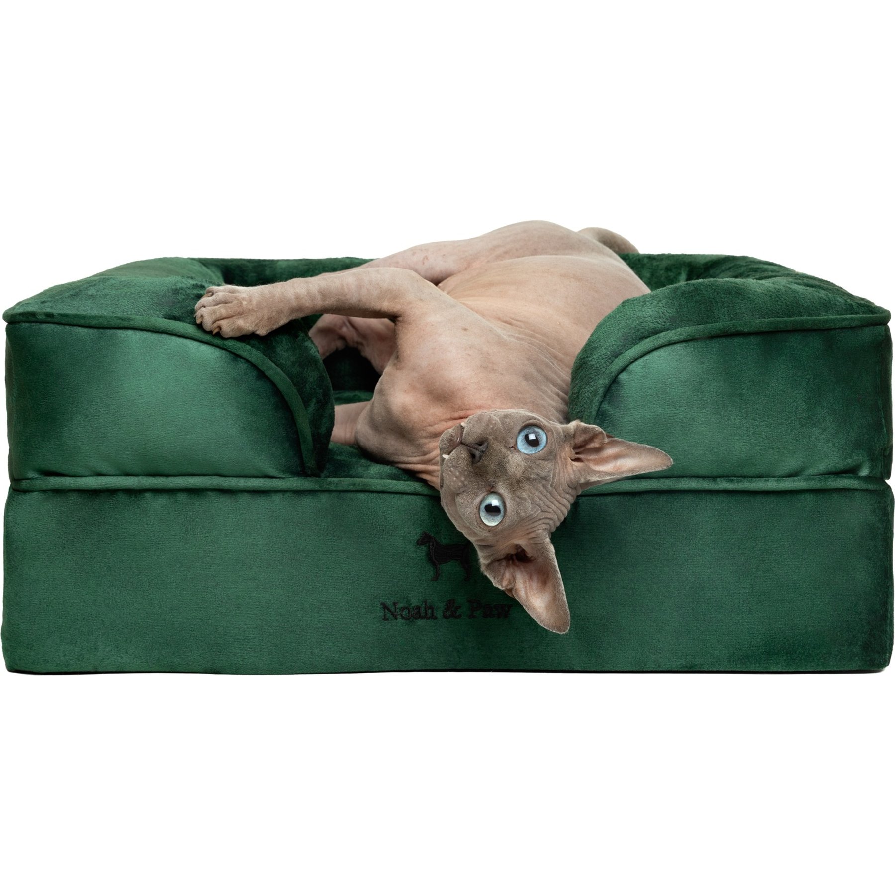 Noah & Paw Machine Washable Orthopedic Classic Dog Bed, Dark Green, Small