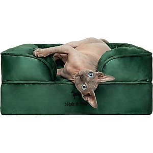 Noah & Paw Velvet Collection Orthopedic Dog Bed, Dark Green, 20 x 15 x 8-in