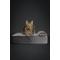 Show in main carousel: Noah & Paw Machine Washable Orthopedic Sofa Dog Bed, Grey, 20 x 15 x 6.5-in slide 2 of 6