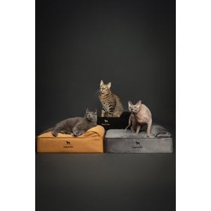Noah & Paw Machine Washable Orthopedic Sofa Dog Bed, Dark Green, 20 x 15 x 6.5-in