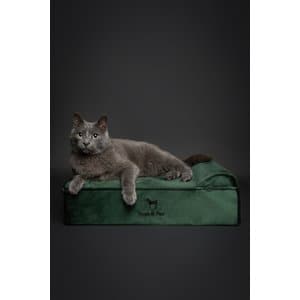 Noah & Paw Machine Washable Orthopedic Sofa Dog Bed, Dark Green, 20 x 15 x 6.5-in