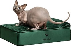 Noah & Paw Machine Washable Orthopedic Sofa Dog Bed, Dark Green, 20 x 15 x 6.5-in