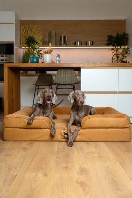 Noah & Paw Machine Washable Orthopedic Classic Dog Bed, Camel, XX-Large