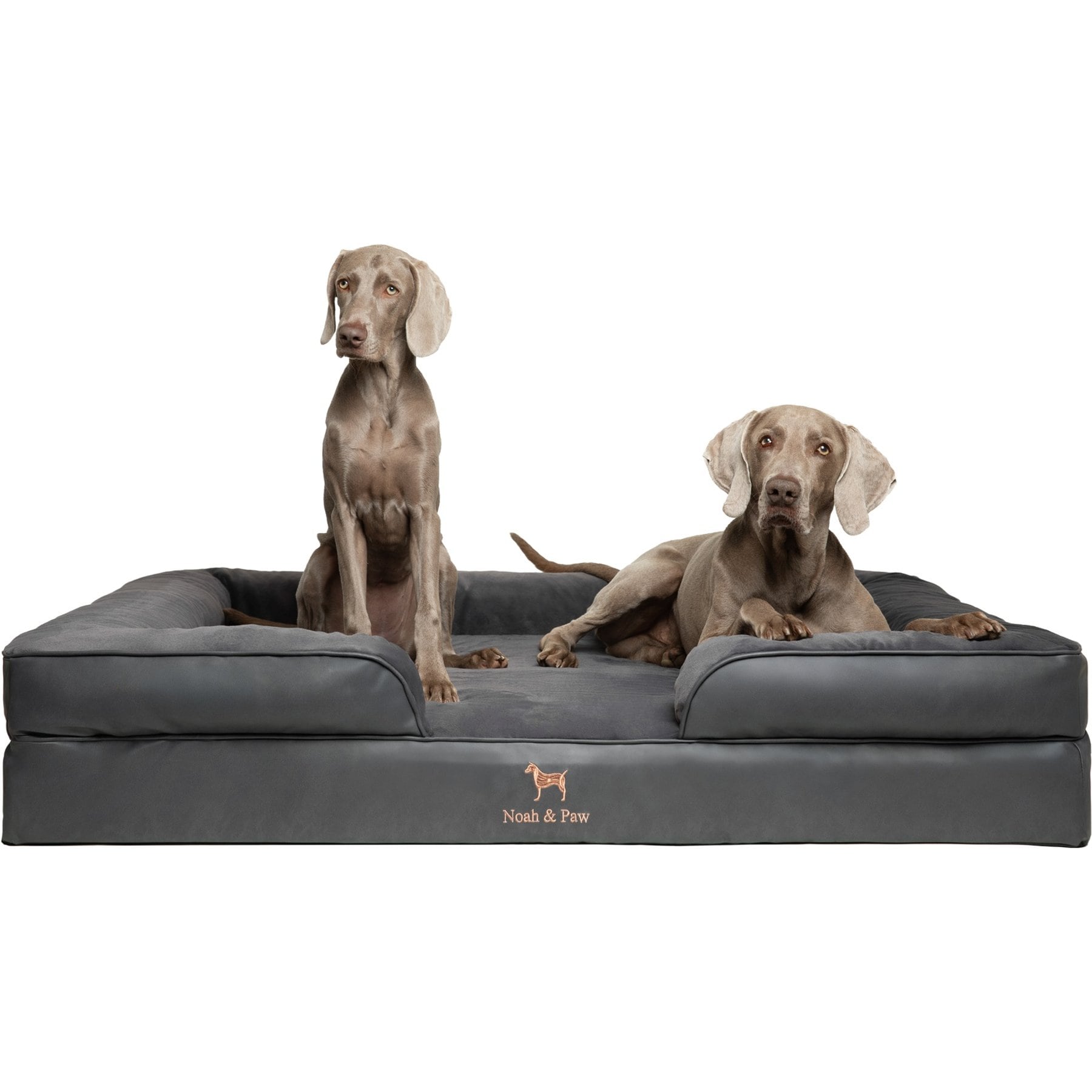 Noah & Paw Machine Washable Orthopedic Classic Dog Bed Charcoal, XX-Large