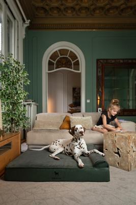 Show full view: Noah & Paw Machine Washable Orthopedic Sofa Dog Bed, Green, 45 x 35 x 9.1-in slide 2 of 9