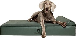 Noah & Paw Machine Washable Orthopedic Sofa Dog Bed, Green, 45 x 35 x 9.1-in