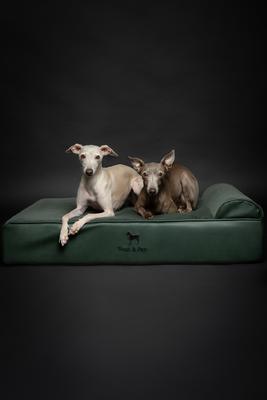 Show full view: Noah & Paw Machine Washable Orthopedic Sofa Dog Bed, Green, 35 x 25 x 8.7-in slide 5 of 8