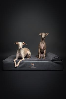 Show full view: Noah & Paw Machine Washable Orthopedic Sofa Dog Bed, Charcoal, 35 x 25 x 8.7-in slide 3 of 7