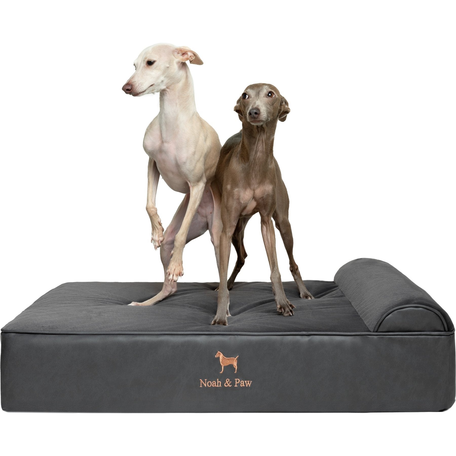 Noah & Paw Machine Washable Orthopedic Sofa Dog Bed, Charcoal, Large