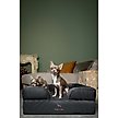 Show in main carousel: Noah & Paw Vegan Leather Orthopedic Dog Bed, Charcoal, 28 x 23 x 11-in slide 6 of 8