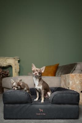 Show full view: Noah & Paw Machine Washable Orthopedic Sofa Dog Bed, Charcoal, 28 x 23 x 11-in slide 7 of 10