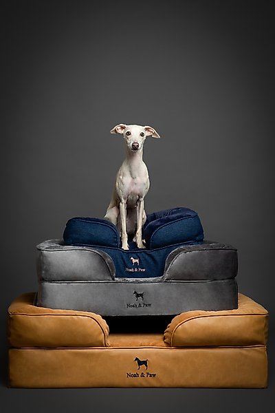 Show full view: Noah & Paw Vegan Leather Orthopedic Dog Bed, Charcoal, 28 x 23 x 11-in slide 8 of 8