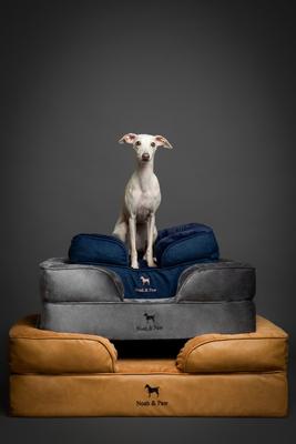Show full view: Noah & Paw Machine Washable Orthopedic Sofa Dog Bed, Charcoal, 28 x 23 x 11-in slide 9 of 10
