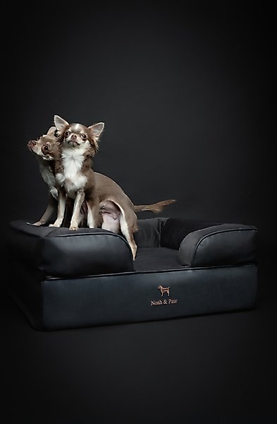 Show full view: Noah & Paw Vegan Leather Orthopedic Dog Bed, Charcoal, 28 x 23 x 11-in slide 3 of 8
