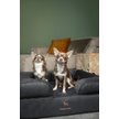 Show in main carousel: Noah & Paw Vegan Leather Orthopedic Dog Bed, Charcoal, 28 x 23 x 11-in slide 2 of 8