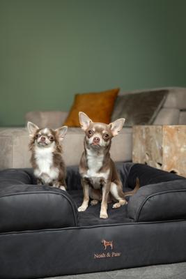 Show full view: Noah & Paw Machine Washable Orthopedic Sofa Dog Bed, Charcoal, 28 x 23 x 11-in slide 3 of 10