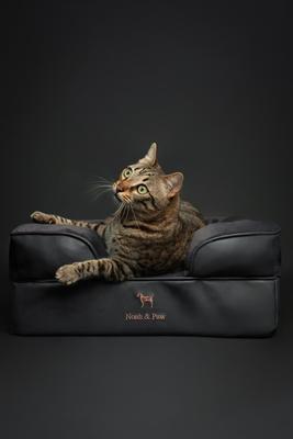Show full view: Noah & Paw Machine Washable Orthopedic Sofa Dog Bed, Charcoal, 20 x 15 x 8-in slide 2 of 7