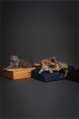 Show full view: Noah & Paw Machine Washable Orthopedic Sofa Dog Bed, Charcoal, 20 x 15 x 6.5-in slide 6 of 7