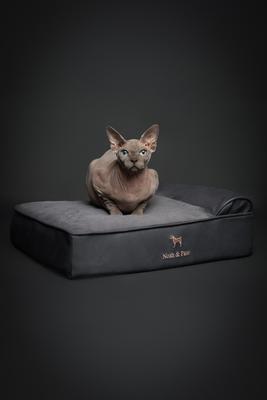 Show full view: Noah & Paw Machine Washable Orthopedic Sofa Dog Bed, Charcoal, 20 x 15 x 6.5-in slide 4 of 7