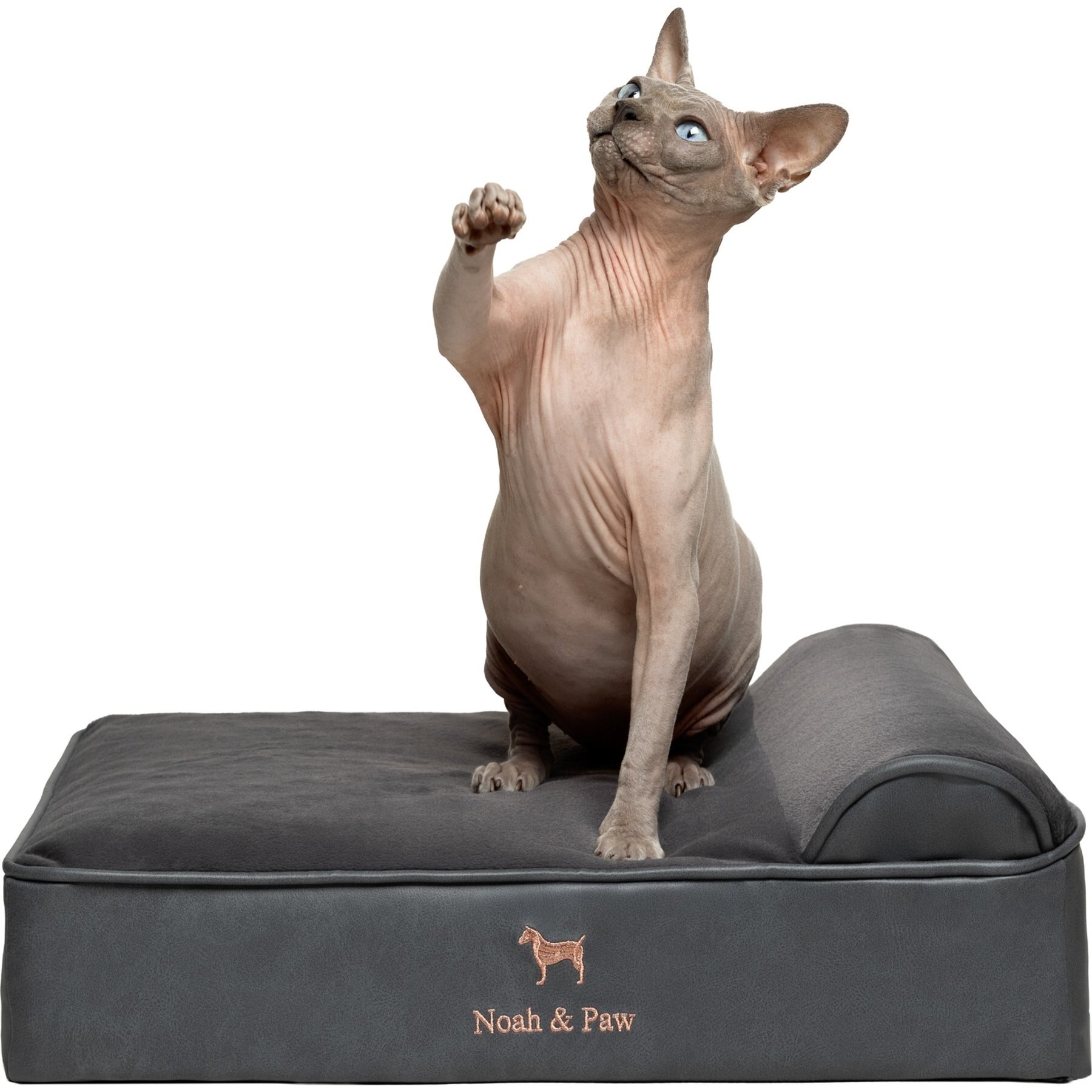 Noah & Paw Machine Washable Orthopedic Sofa Dog Bed, Charcoal, Small