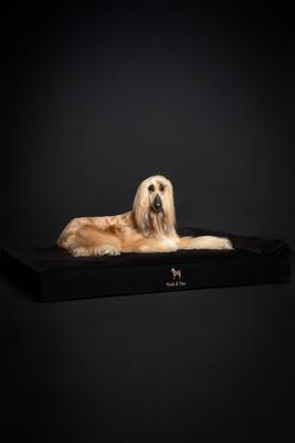 Show full view: Noah & Paw Machine Washable Orthopedic Sofa Dog Bed, Black, 55 x 45 x 9.5-in slide 7 of 9