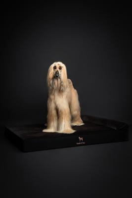 Show full view: Noah & Paw Machine Washable Orthopedic Sofa Dog Bed, Black, 55 x 45 x 9.5-in slide 5 of 9