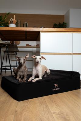 Show full view: Noah & Paw Machine Washable Orthopedic Sofa Dog Bed, Black, 35 x 25 x 8.7-in slide 5 of 8