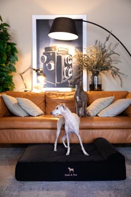 Show full view: Noah & Paw Machine Washable Orthopedic Sofa Dog Bed, Black, 35 x 25 x 8.7-in slide 3 of 8