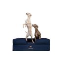 Noah & Paw Machine Washable Orthopedic Classic Dog Bed, Dark Blue, Large