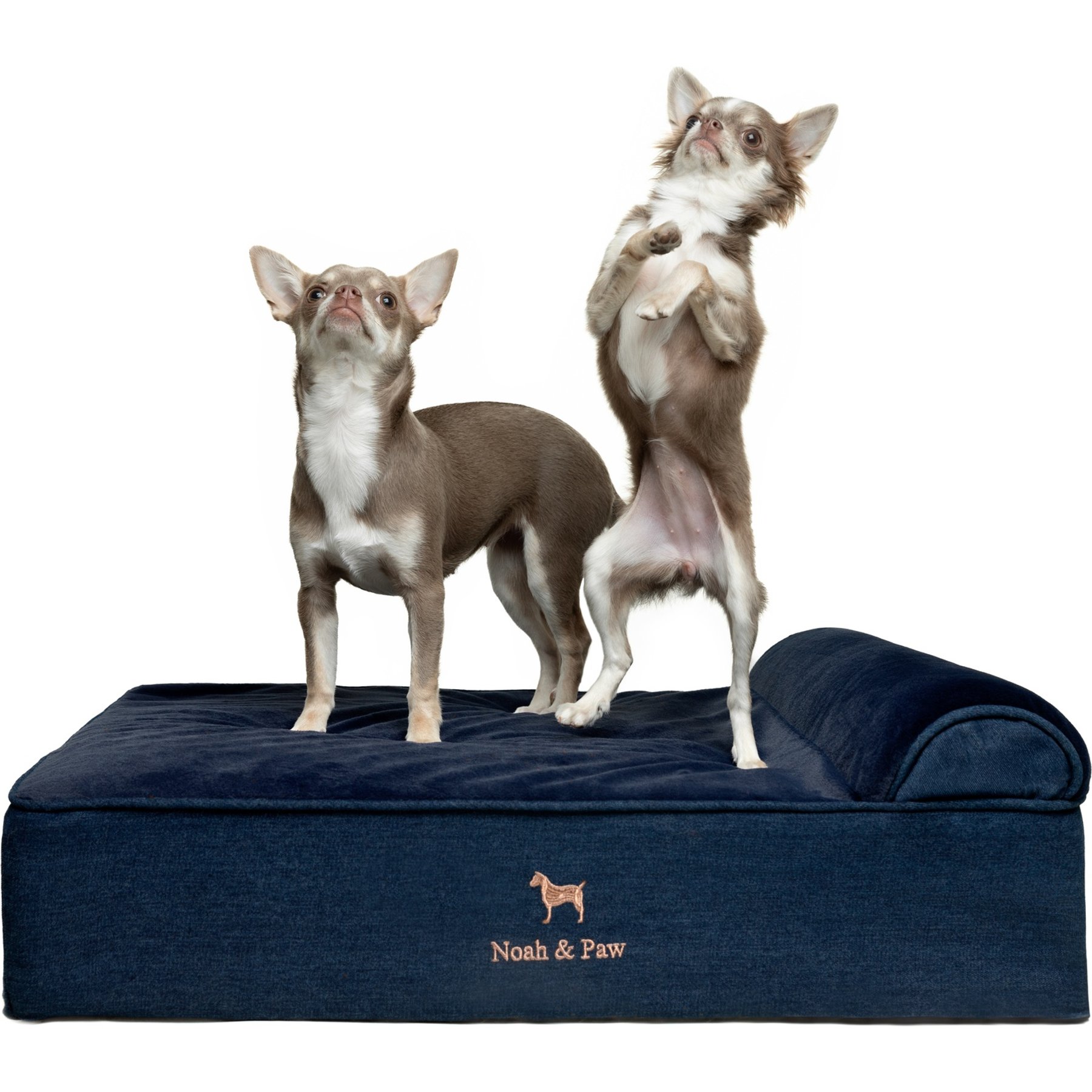 Noah & Paw Machine Washable Orthopedic Sofa Dog Bed, Dark Blue, Medium